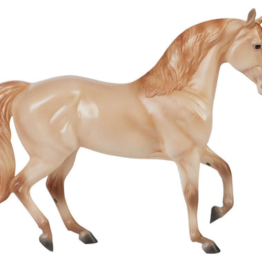 Champagne Quarter Horse Cross