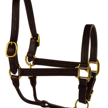 Dark Brown Leather Halter With Adjustable Chin Strap