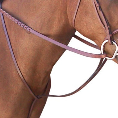 Toklat Passport Plain Raised Standing Martingale