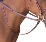 Toklat Passport Plain Raised Standing Martingale