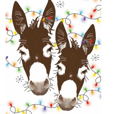 Donkeys With Christmas Lights