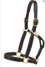 Leather 1” Padded Halter
