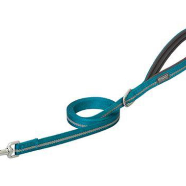 Terrain Dog Reflective Neoprene Lined Dog Leash