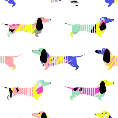 Brynn Jr. Show Shirt