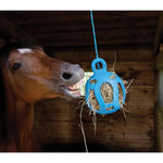 Horse Using Blue Jolly Hay Ball