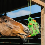 Horse Using Green Jolly Hay Ball