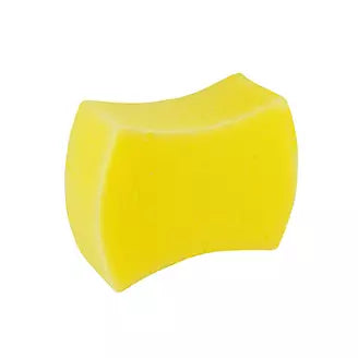 Hourglass Sponge