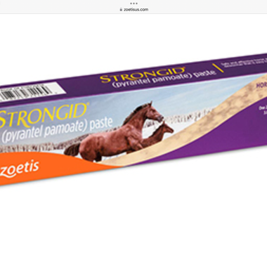 STRONGID (pyrantel pamote) paste