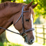 Red Barn Ocala Bridle