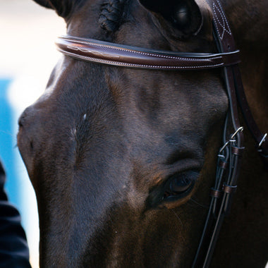 Red Barn Ocala Bridle