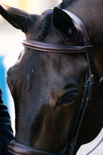 Red Barn Ocala Bridle