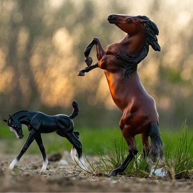 Wild and Free Horse and Foal Set