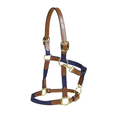 Leather and Cotton Web Halter