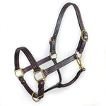 Leather 1" Traditional Deluxe Halter