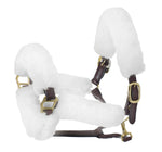 Europa Halter Tube Set