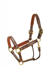 Leather 1” Padded Halter