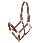 Leather Track Halter With Snap Throat & Adjustable Nose