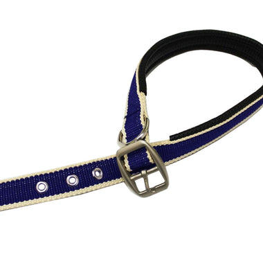 Amigo Dog Collar