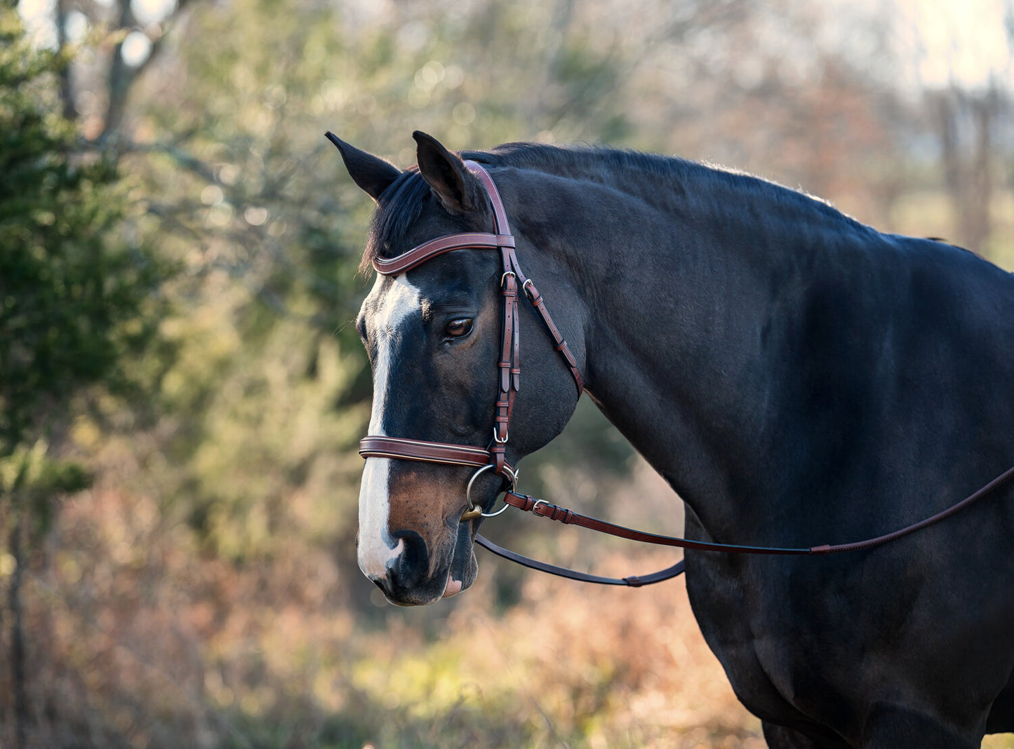 Classique Anatomical Bridle with Flat Rubber Reins