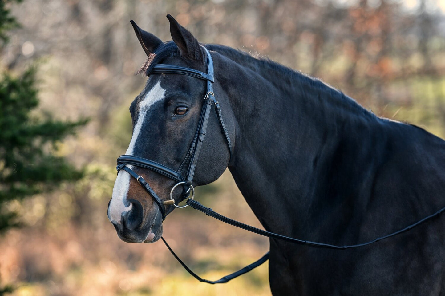 Chateau Dressage Bridle with Calfskin Covered Reins