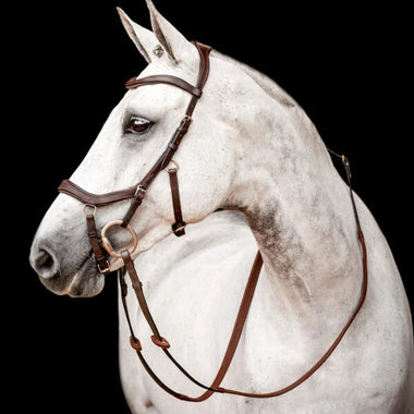 Micklem® 2 Competition Bridle