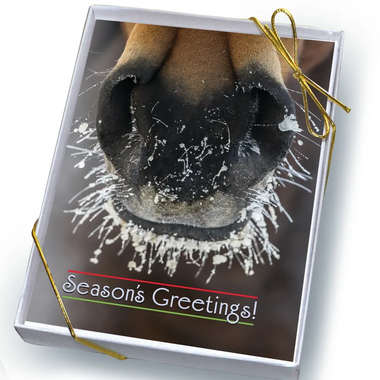Frosty Muzzle Holiday Cards