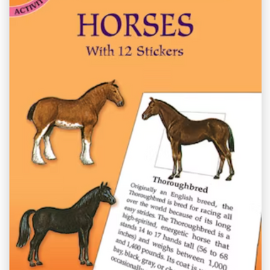 Learning about Horses