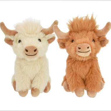 Shaggy Highland Cow