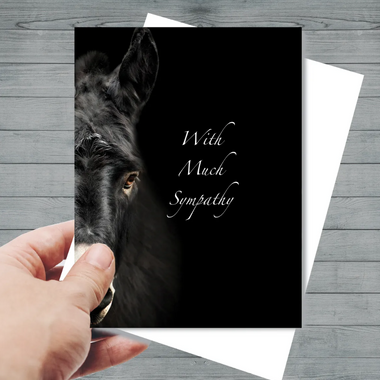 Donkey "With much sympathy" Sympathy Card