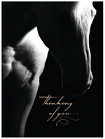 "Thinking of you..." Sympathy Card
