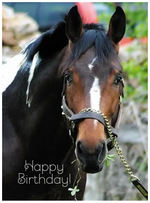"Sending Good Luck your way" Birthday Card