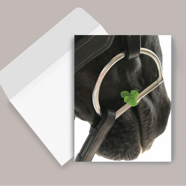 Four Leaf Clover Blank Card
