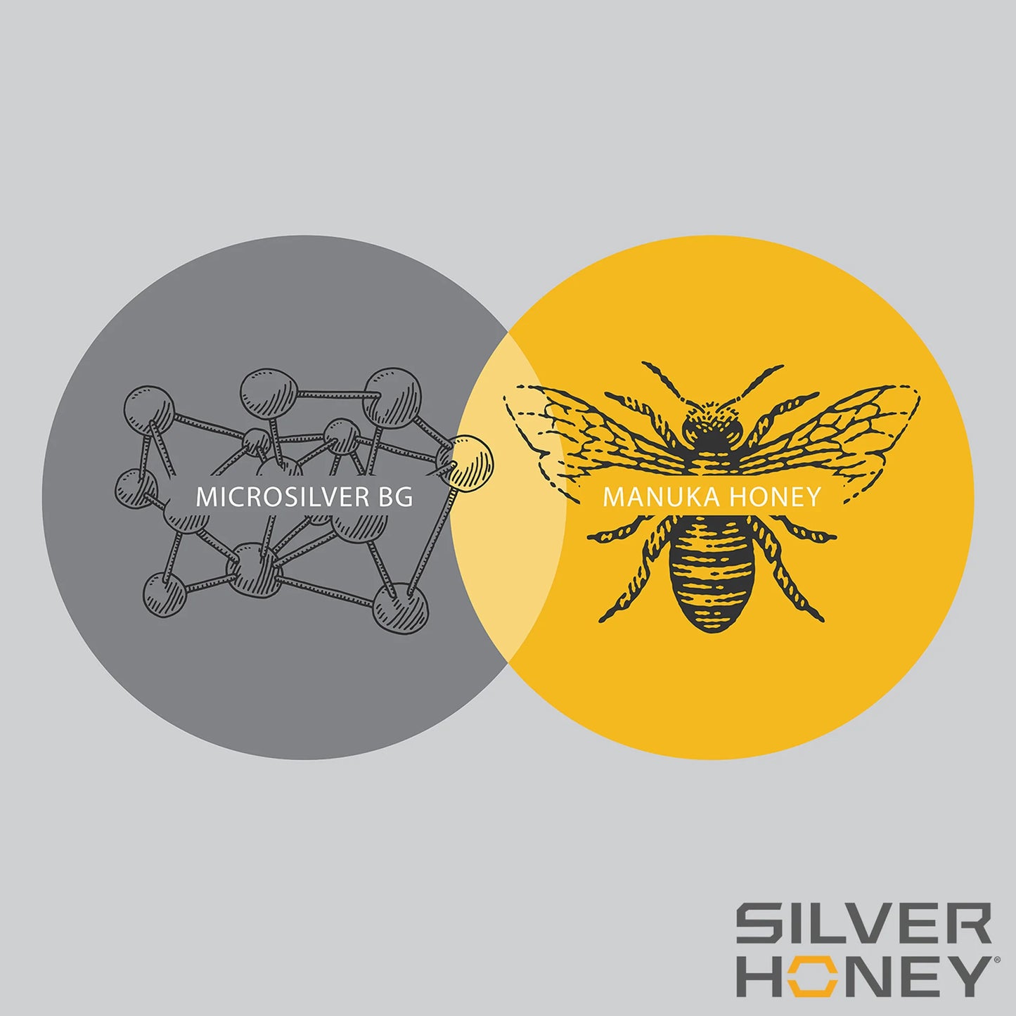 Silver Honey® Medicated Shampoo