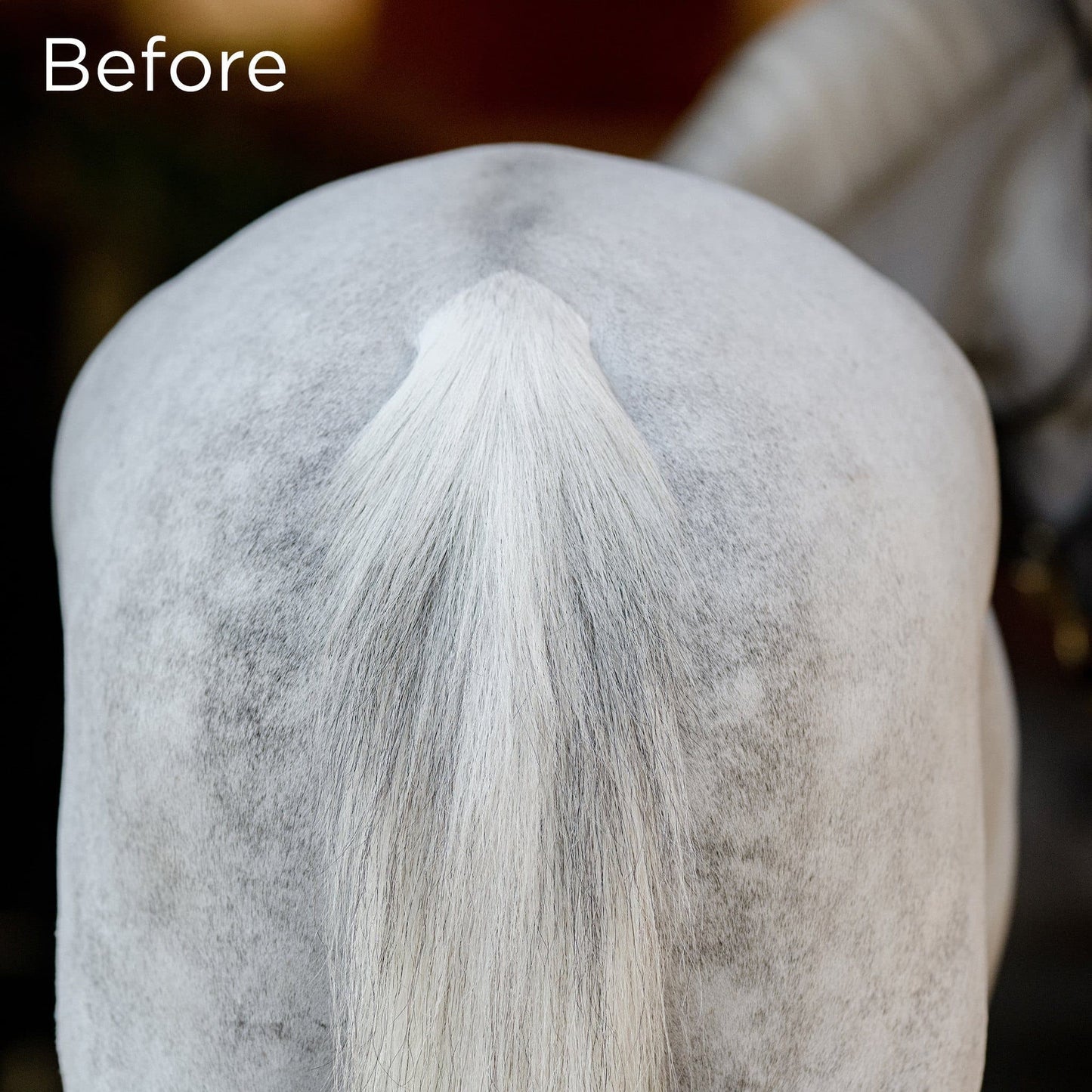 No Hassle TailWrap™