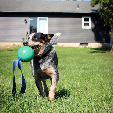 KOREflex Ball and Tail for Dogs