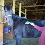 GroomRaker for Equine