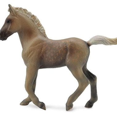 Breyer CollectA Chocolate Rocky Mountain Foal