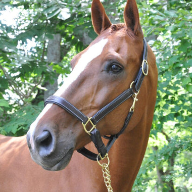Leather Willow Halter
