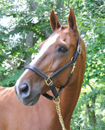 Leather Willow Halter