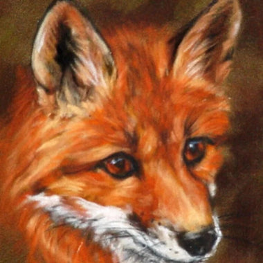 fox face