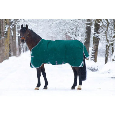 green blanket on bay horse