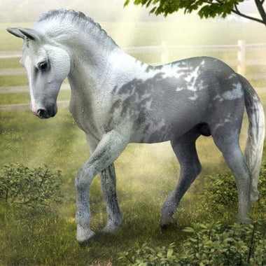 Breyer CollectA Grey Trakehner Stallion