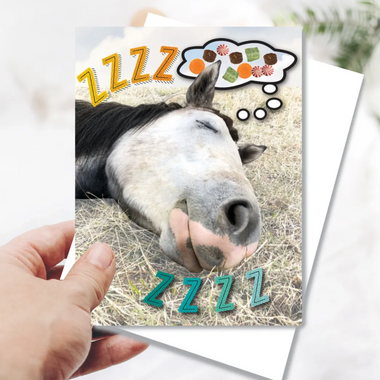 horse dreaming card
