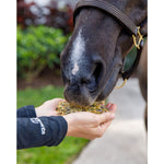 Ulceraser Gastric Support