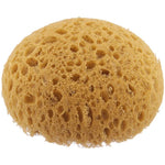 Honeycomb Form Tack Sponge