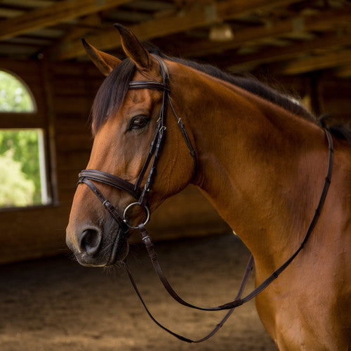 Avignon Louisville Bridle with Reins