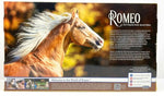 Breyer Romeo