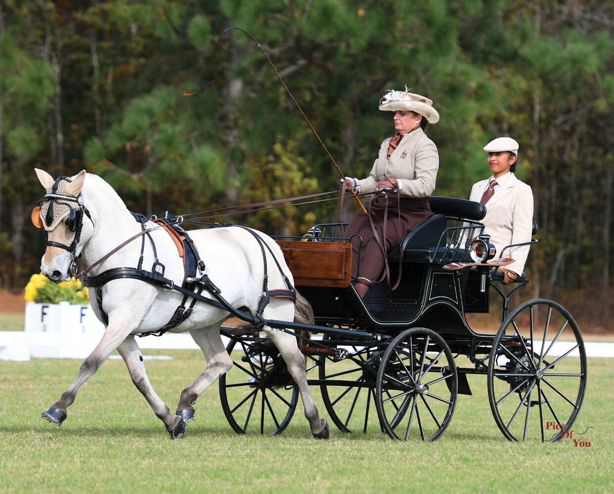 Sweetwater's Zorah Belle
