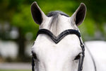 Black Oak Decorative Browbands