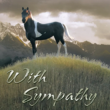 with sympathy black and white horse